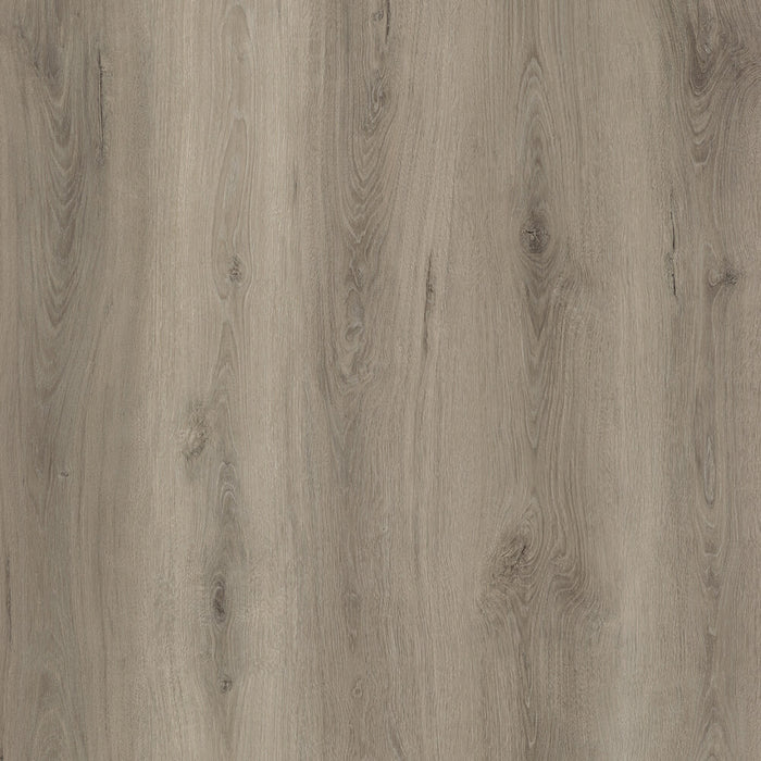 Bronx wood-look spc by DDC, Apex Lux collection