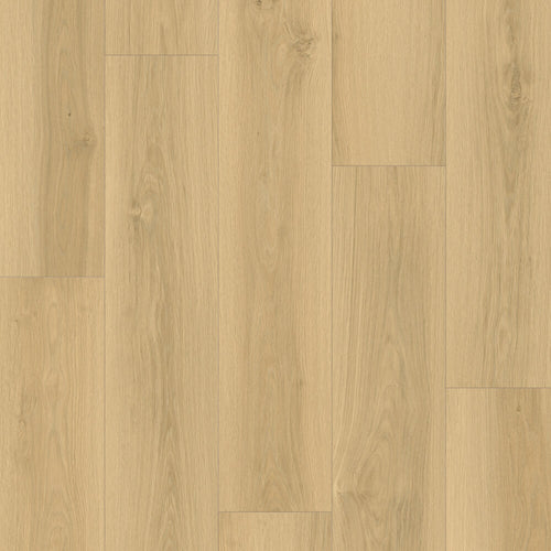 Pale Gorge Apex Lux wood-look SPC by DDC
