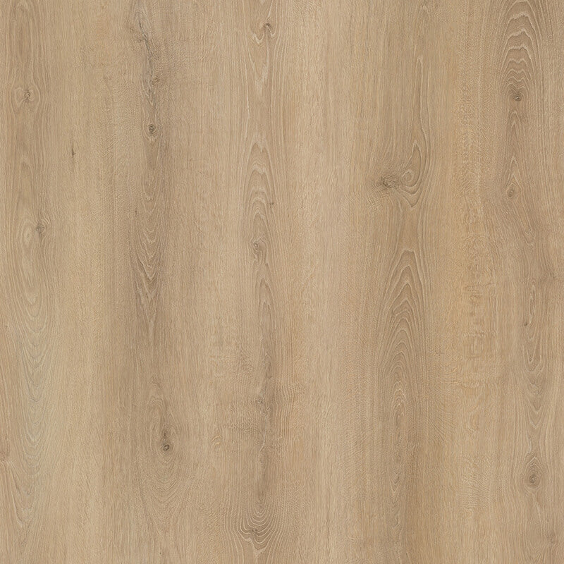 Grapevine Aspen New wood-look SPC by DDC