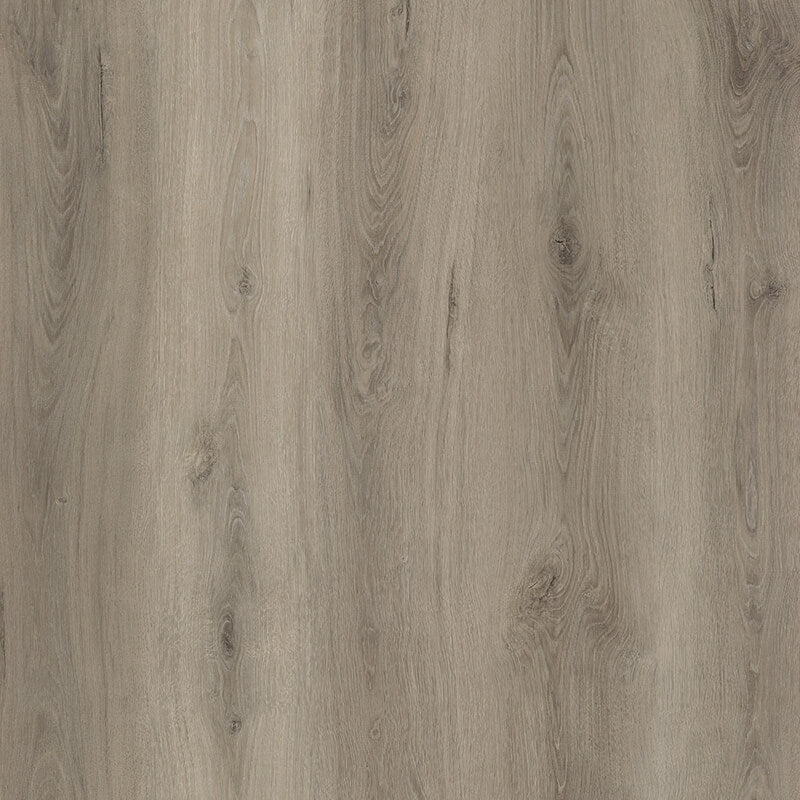 Lewisville Aspen New wood-look SPC by DDC