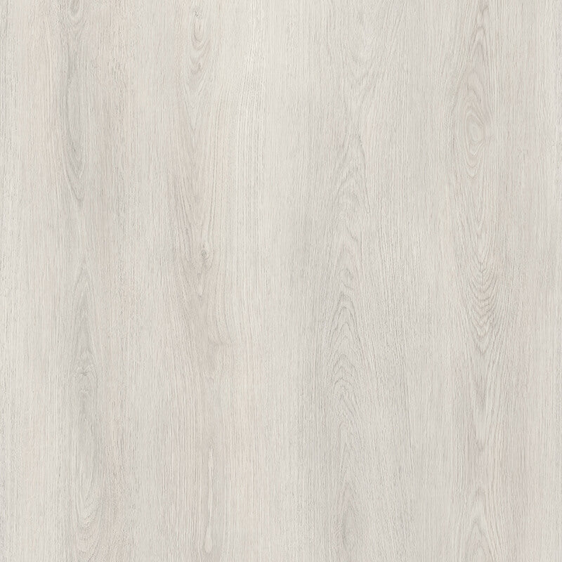 White Rock Aspen New wood-look SPC by DDC