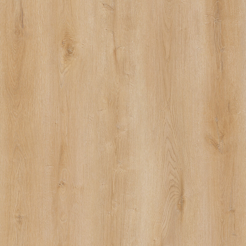 Whyte Ridge Aspen New wood-look SPC by DDC