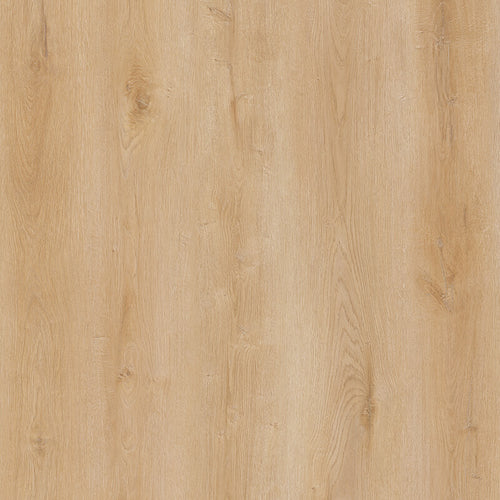 Whyte Ridge Aspen New wood-look SPC by DDC