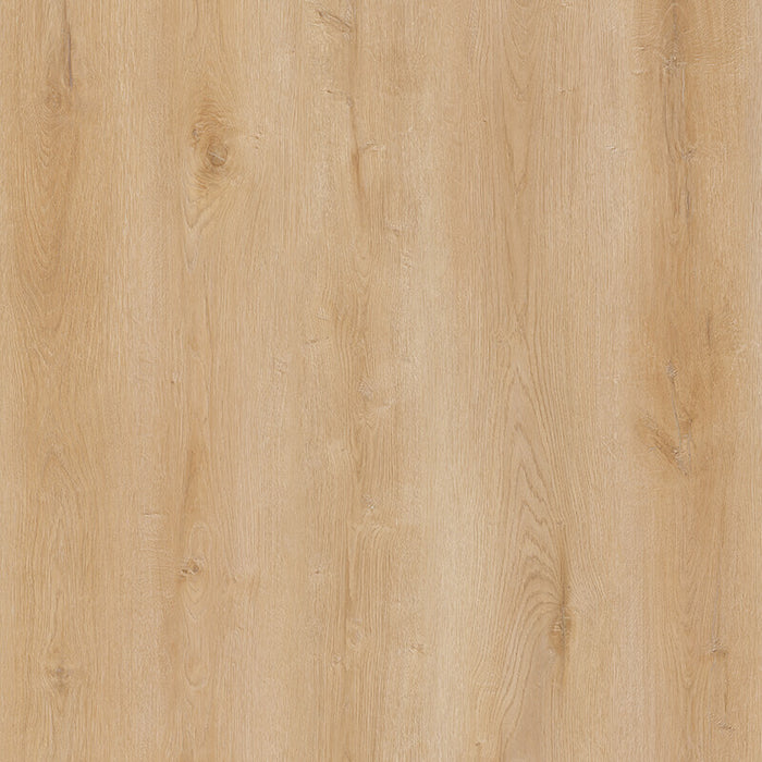 Whyte Ridge wood-look spc by DDC, Aspen New collection