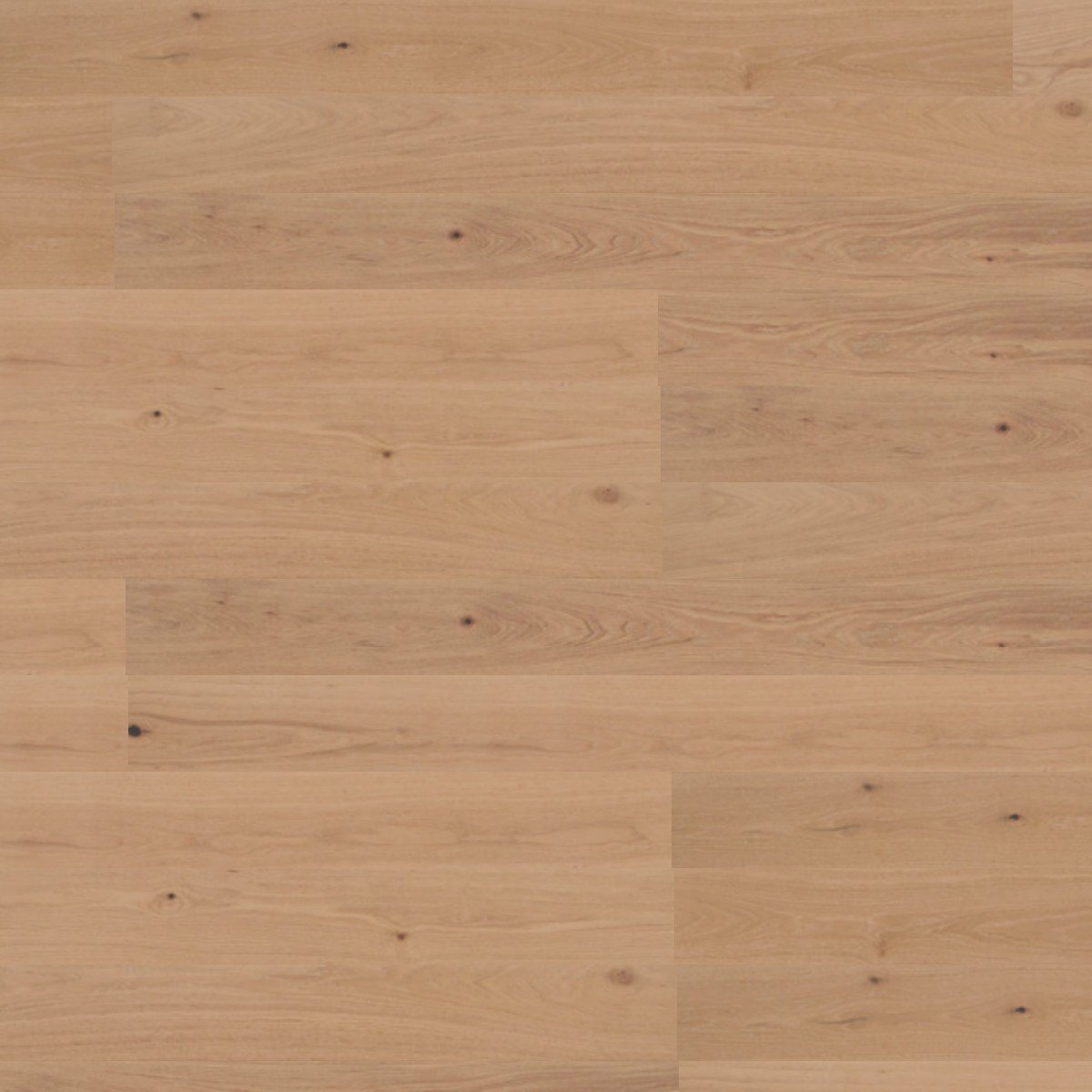Blanco – DYAR Genesis wood-look SPC, color swatch