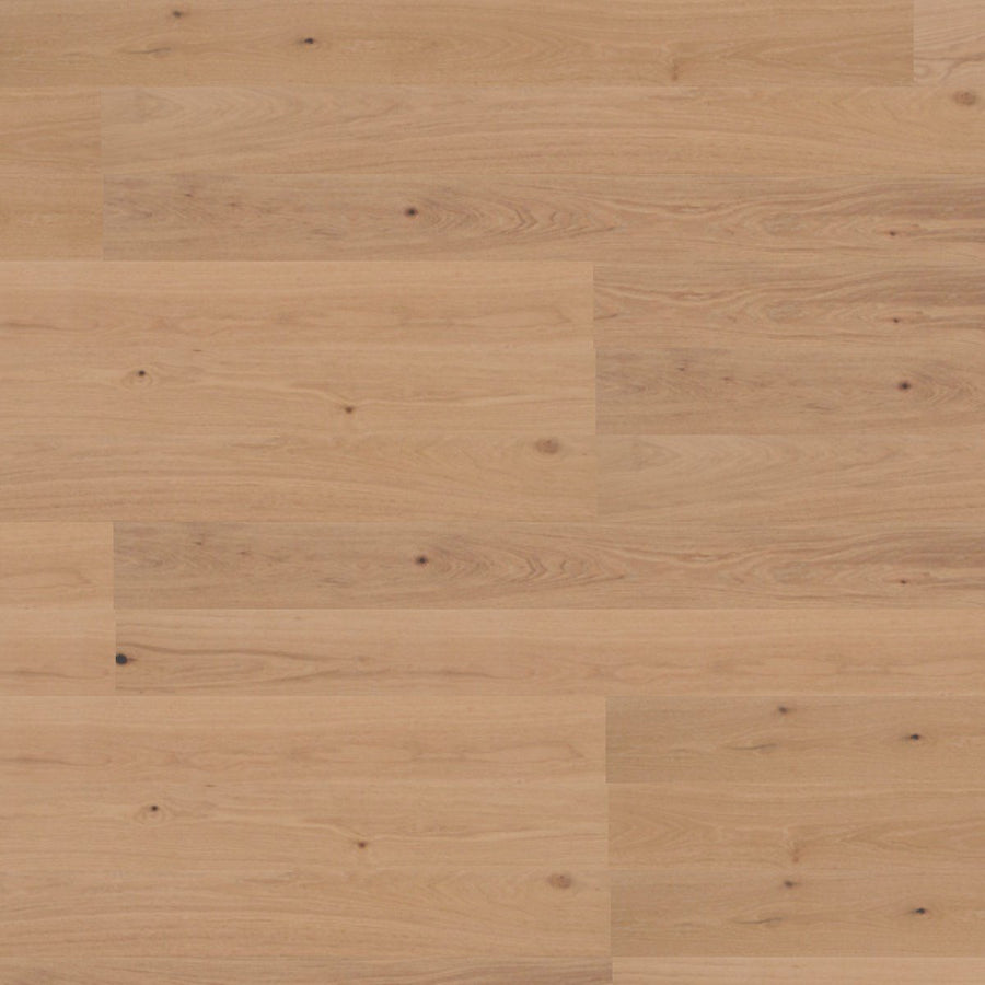 Blanco – DYAR Genesis wood-look SPC, color swatch