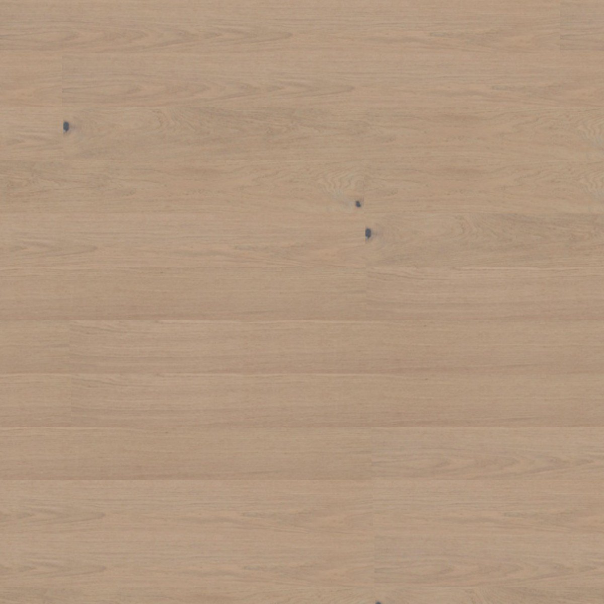 Frost – DYAR Genesis wood-look SPC, color swatch