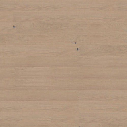 Frost – DYAR Genesis wood-look SPC, color swatch