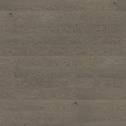 Grey – DYAR Genesis wood-look SPC, color swatch