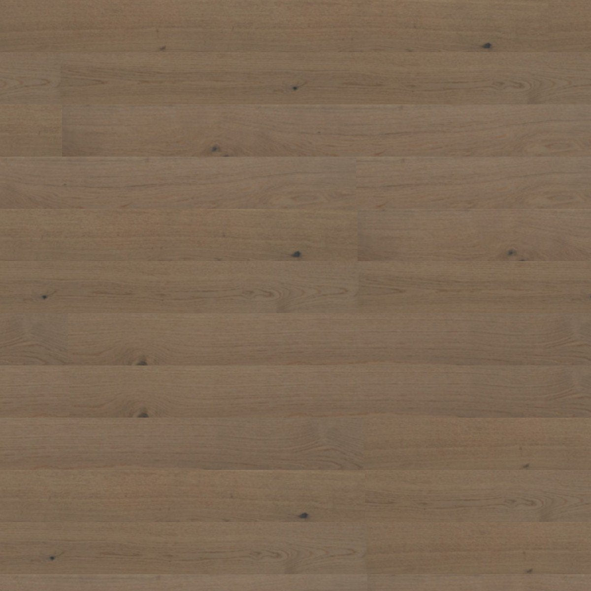 Ivory – DYAR Genesis wood-look SPC, color swatch