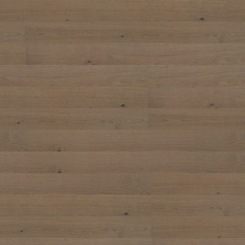 Ivory – DYAR Genesis wood-look SPC, color swatch