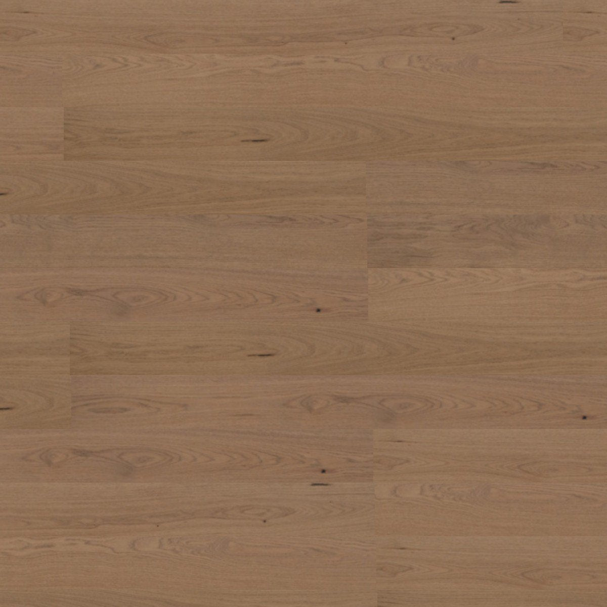 Palomino – DYAR Genesis wood-look SPC, color swatch
