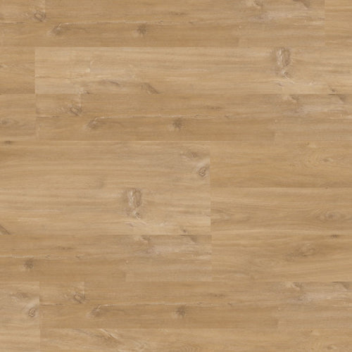 Stardust – DYAR NASA wood-look SPC, color swatch