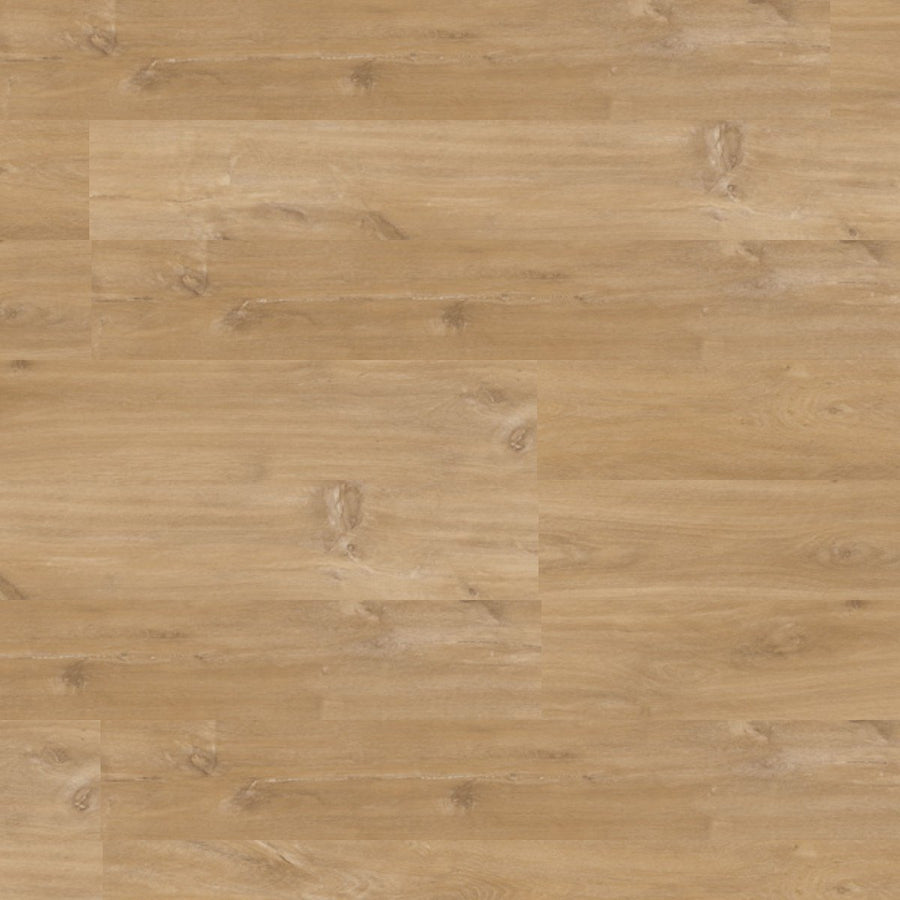 Stardust – DYAR NASA wood-look SPC, color swatch