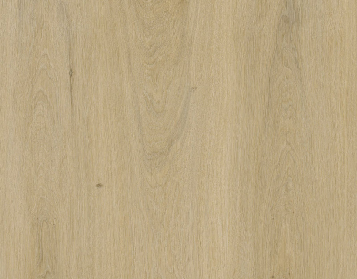 Zeus – DYAR Roman wood-look SPC, plank texture close-up