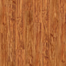 Amber Acacia