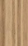Carolina Hickory