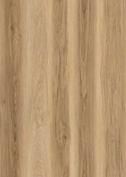 Carolina Hickory AR wood-look SPC by Homelike