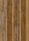 Golden Pine