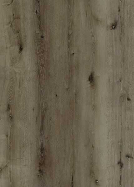Oceanside Lite AR wood-look SPC by Homelike