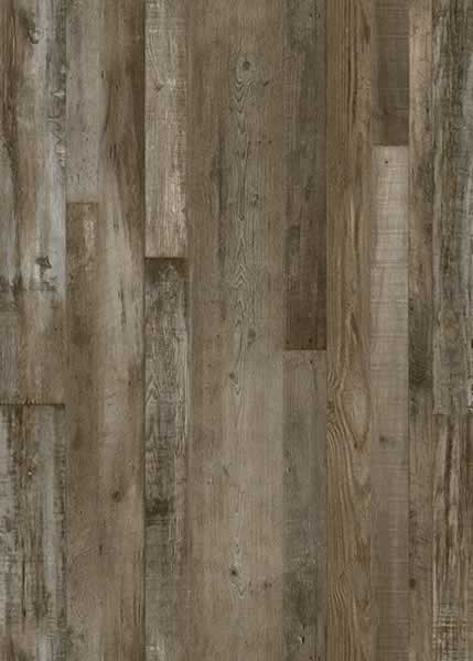 Petrified Forest Lite AR wood-look SPC by Homelike