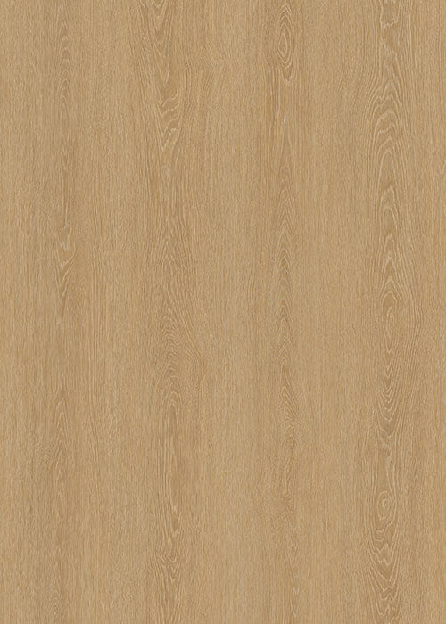 Sandy Point CC wood-look SPC by Homelike