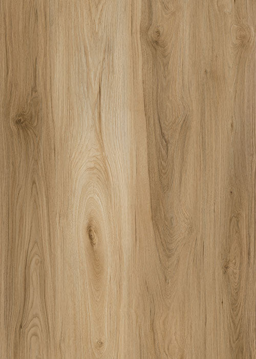 Coastal Dunes wood-look spc by Homelike, Premium SHIELD4MAX (PA) collection