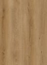 Winery Oak