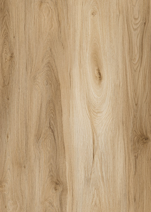 Golden Meadow Pro Wood wood-look SPC by Homelike