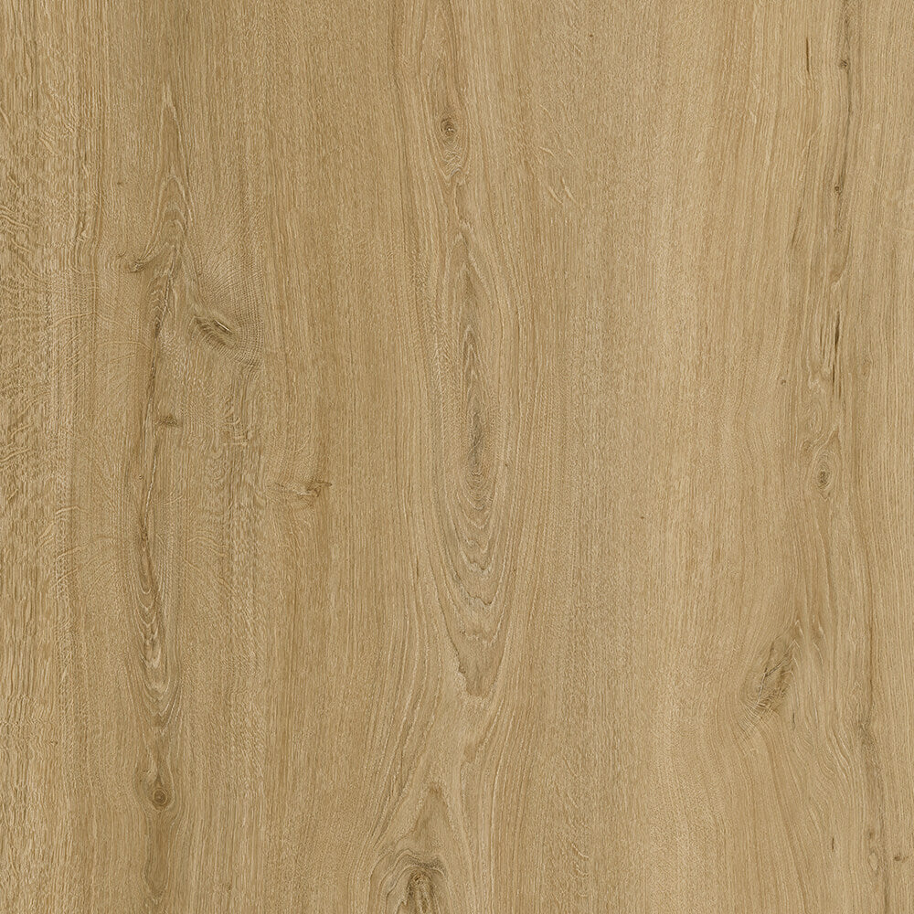 Chicory Aspire wood-look SPC by Turku