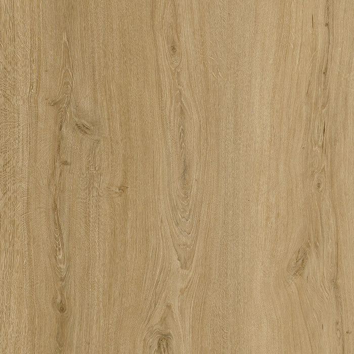 Chicory wood-look spc by Turku, Aspire collection
