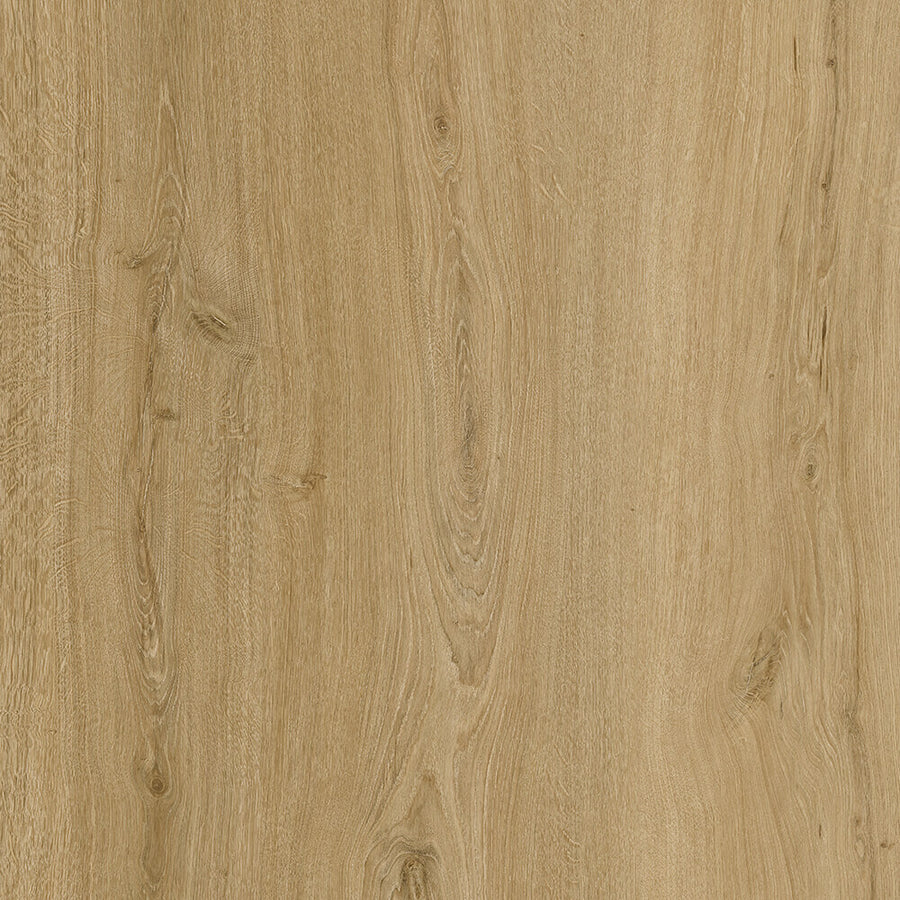 Chicory Aspire wood-look SPC by Turku