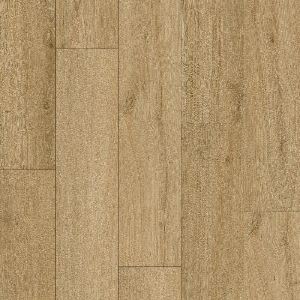 Turku Aspire Chicory plank